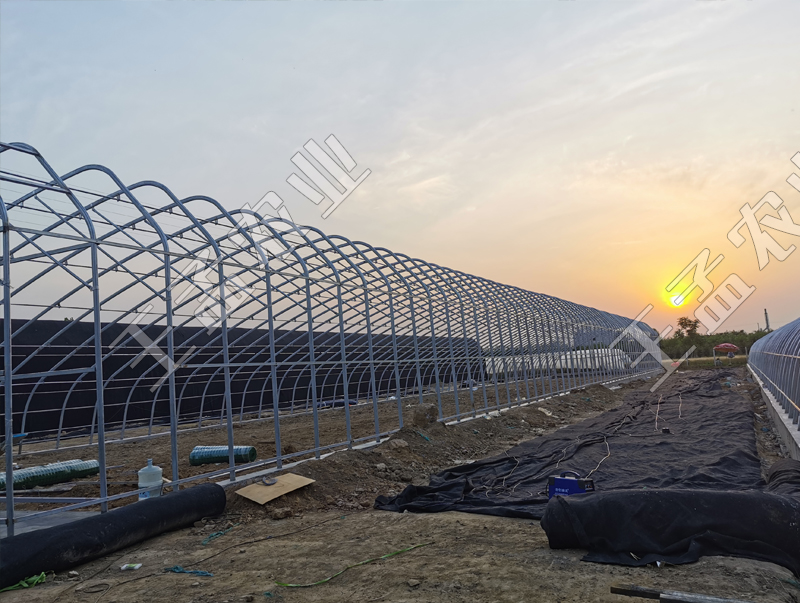 王孟农业在温室大棚建设中的性能指标