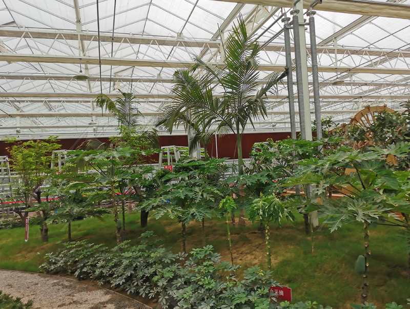 蔬菜温室大棚建设完工后的病虫防治工作（2）