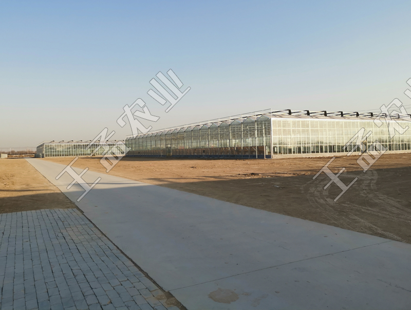 蔬菜温室大棚建设结构与功能之间存在哪些关系